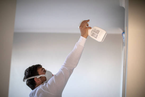 Mold Removal Process in Thorntown, IN
