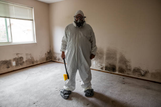 Best Commercial Mold Removal  in Thorntown, IN